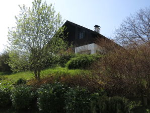 Holiday house at the Attersee - Nussdorf, Attersee - image1