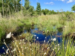 Vakantiehuis Spieka-Neufeld Omgeving 32