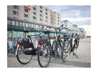 Vakantieappartement Borkum Omgeving 24