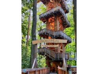 Ferienhaus Usingen Umgebung 31