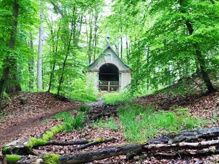 Holiday house Usingen Environment 37