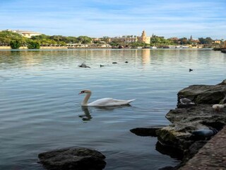 Vakantiehuis Sevilla Omgeving 33