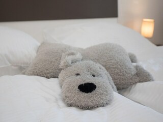 Appartement Winterberg Équipement 23