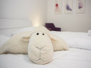 Appartement Winterberg Kenmerken 26