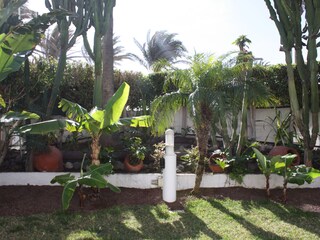 Appartement Playa del Inglés Buitenaudio-opname 7
