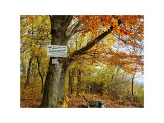 Eingang zur Charlottenlust