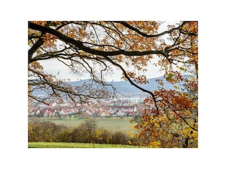 Blick auf die Stadt Wernigerode