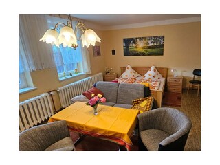 Blick in den kombinierten Wohn-Schlaf-Raum