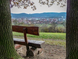 Blick auf Wernigerode