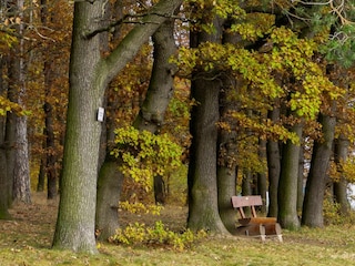 Bauernhof Wernigerode Außenaufnahme 12