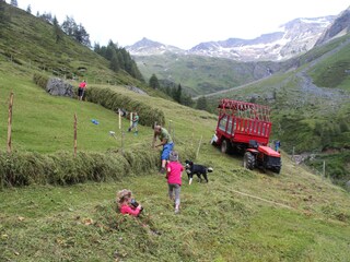 Appartamento per vacanze Dölsach Ambiente 23
