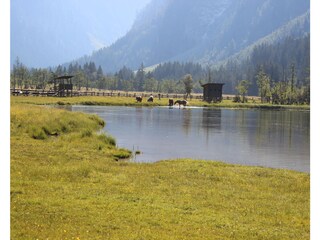 Appartamento per vacanze Dölsach Ambiente 27