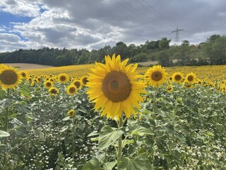 Casa per le vacanze Tauberbischofsheim Ambiente 40