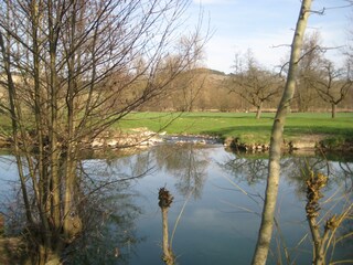 Casa per le vacanze Tauberbischofsheim Ambiente 33