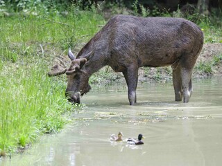 Casa de vacaciones Tauberbischofsheim Entorno 37