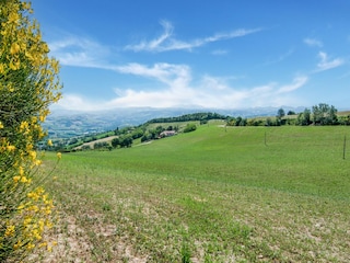 Villa Auditore Entorno 40