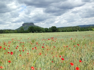 Gohrischer Flur mit Lilienstein