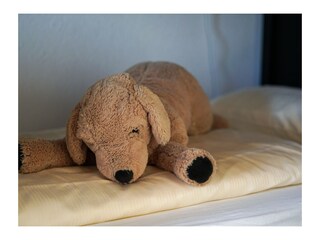 ... Etagenbett