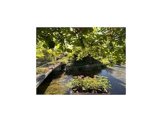 Ferienhaus Thury Außenaufnahme 18