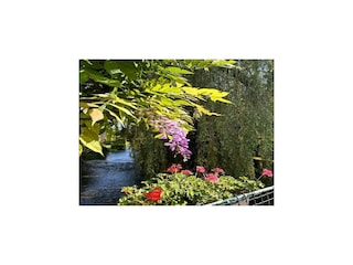 Vakantiehuis Thury Omgeving 39