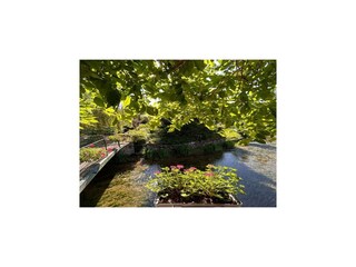 Vakantiehuis Thury Buitenaudio-opname 17