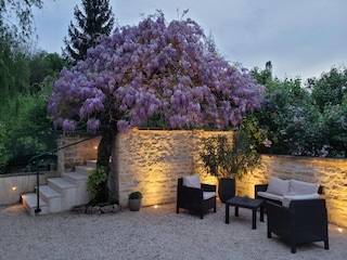 Ferienhaus Thury Außenaufnahme 9