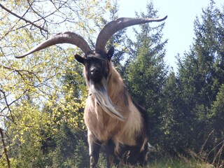 Appartamento per vacanze St. Martin in Passeier Ambiente 32