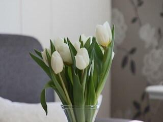 Ferienwohnung Oevenum Ausstattung 18