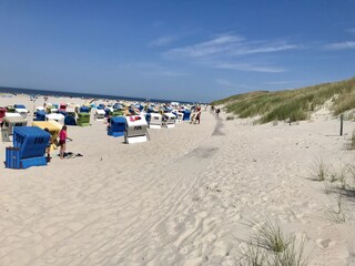 Strand im Sommer