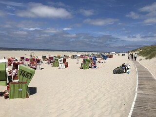 Strand im Sommer