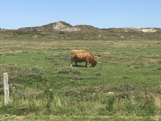 Natur
