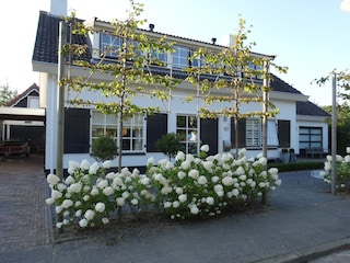 Wohnung
