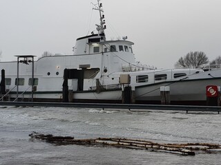 Sturmflut Februar 2020
