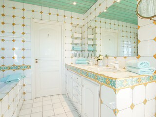 Villa Grimaud Caratteristiche 35