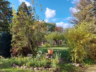 Casa per le vacanze Mücheln (Geiseltal) Registrazione all'aperto 7