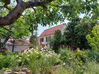 Casa de vacaciones Mücheln (Geiseltal) Grabación al aire libre 2