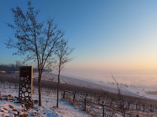 Maison de vacances Mücheln (Geiseltal) Environnement 37