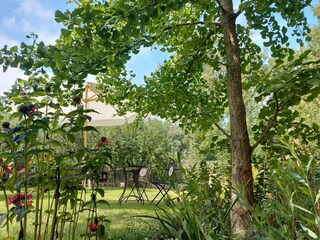 Casa de vacaciones Mücheln (Geiseltal) Grabación al aire libre 8