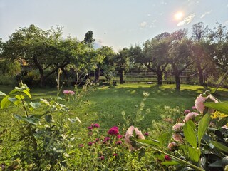 Casa per le vacanze Mücheln (Geiseltal) Registrazione all'aperto 7