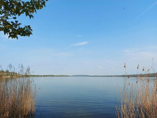Casa per le vacanze Mücheln (Geiseltal) Ambiente 28