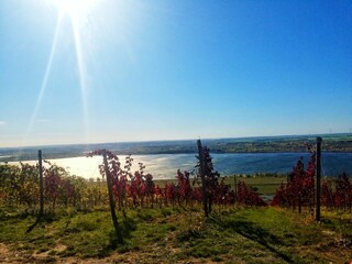 Casa per le vacanze Mücheln (Geiseltal) Ambiente 32