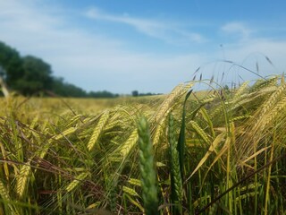 Casa per le vacanze Mücheln (Geiseltal) Ambiente 31