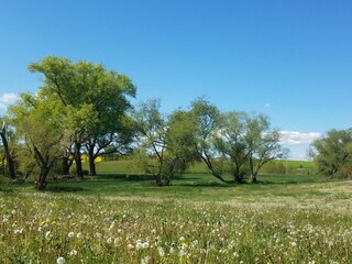 Casa per le vacanze Mücheln (Geiseltal) Ambiente 33