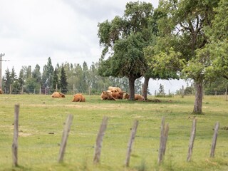 Casa per le vacanze Hommert Ambiente 25