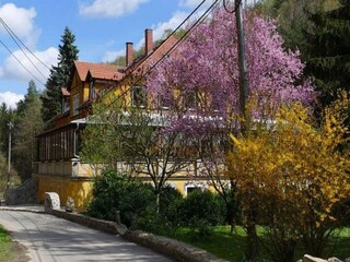 Villa Reinsberg Outdoor Recording 3