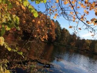 Villa Reinsberg Ambiente 37