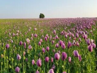 Villa Reinsberg Ambiente 24