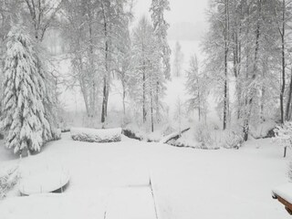 Villa Reinsberg Ambiente 38