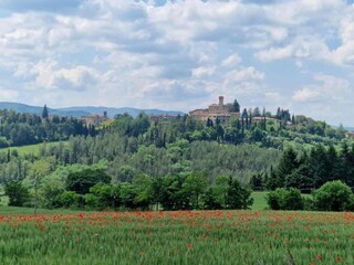 Apartment Monterchi Umgebung 37