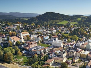 Holiday house Grafenau Outdoor Recording 12